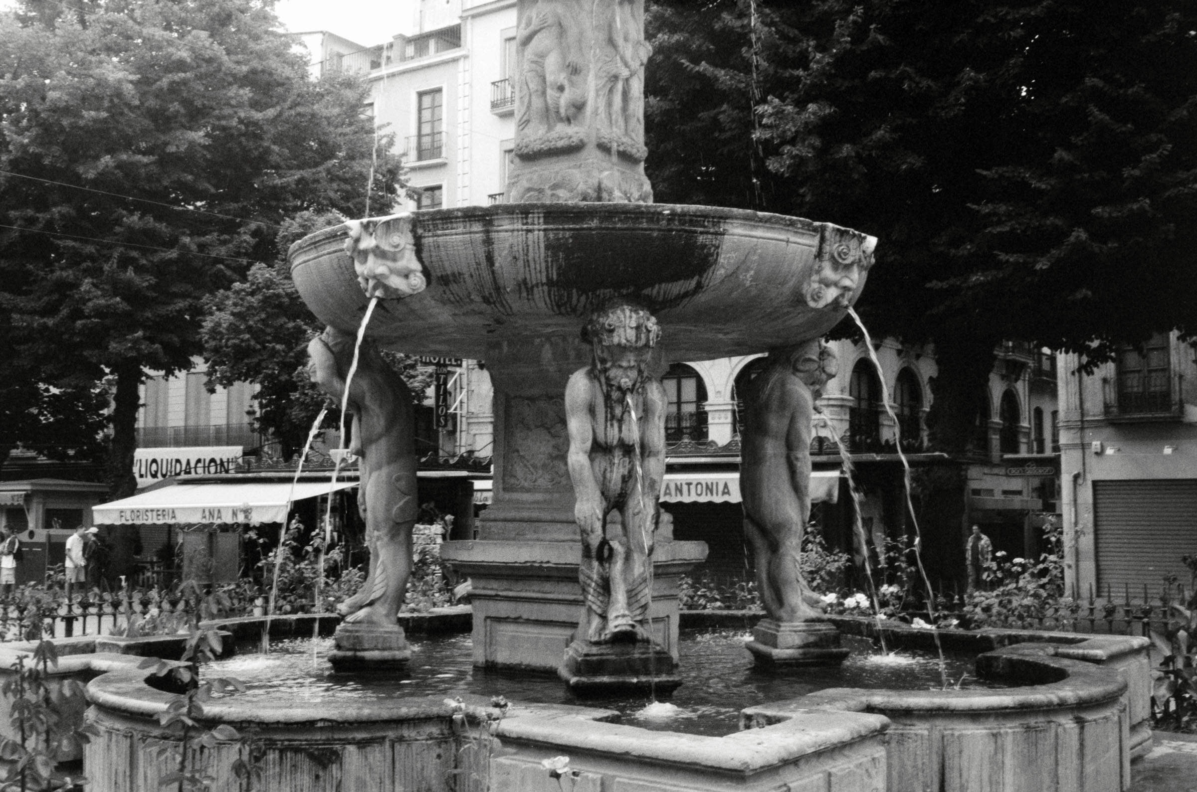 AHP F2001 07 001 sc240901 img11 NLP